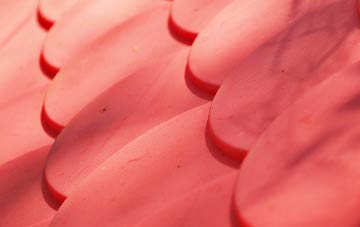 Little Ditton plastic roof costs