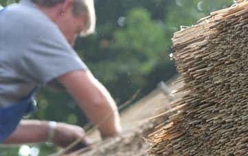 professional Little Ditton thatchers