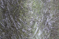 Little Ditton fibreglass roof work